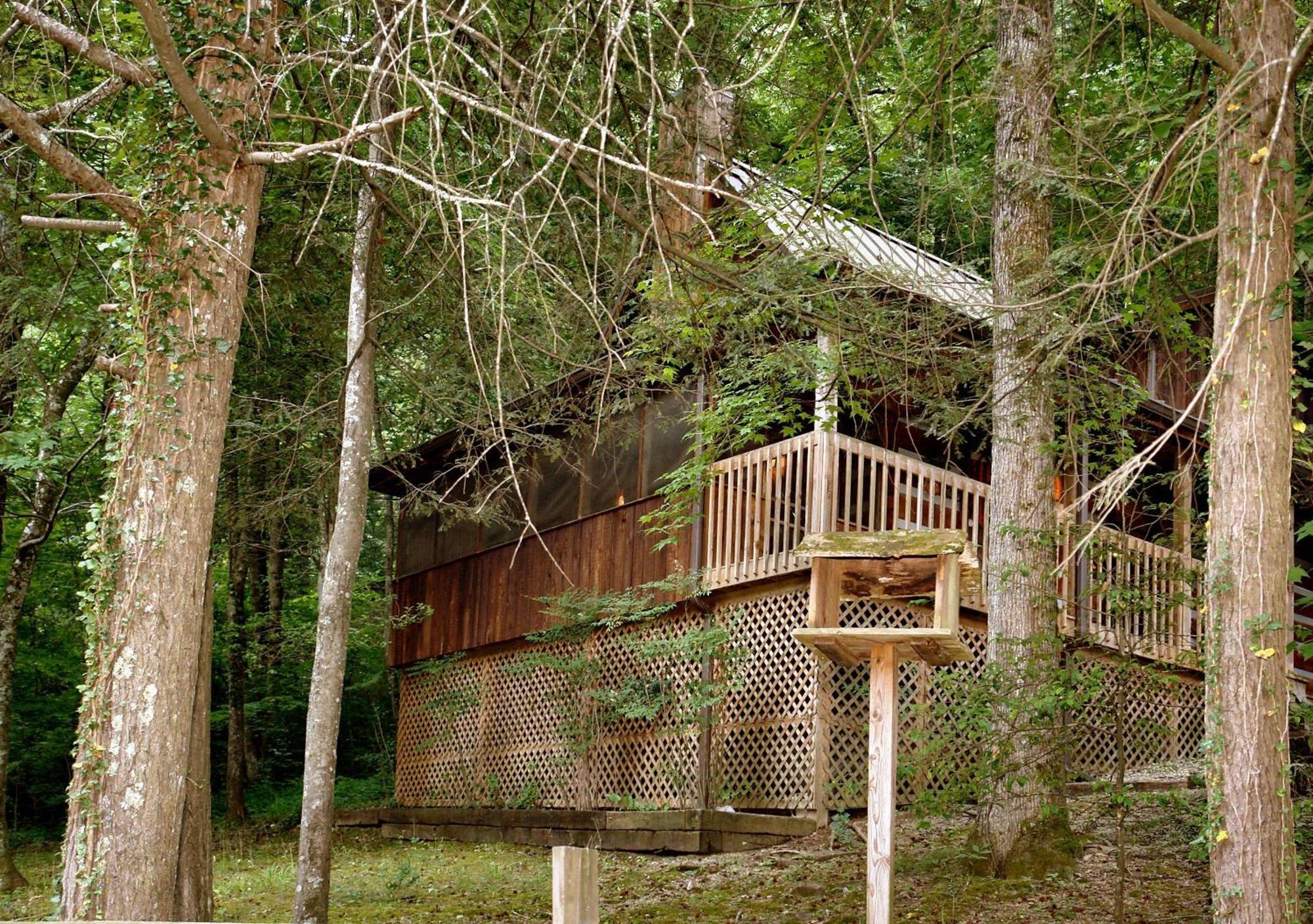 Parkside Party #1676 Villa Gatlinburg Buitenkant foto